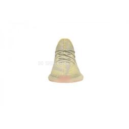 Adidas Yeezy Boost 350 V2 ANTLIA